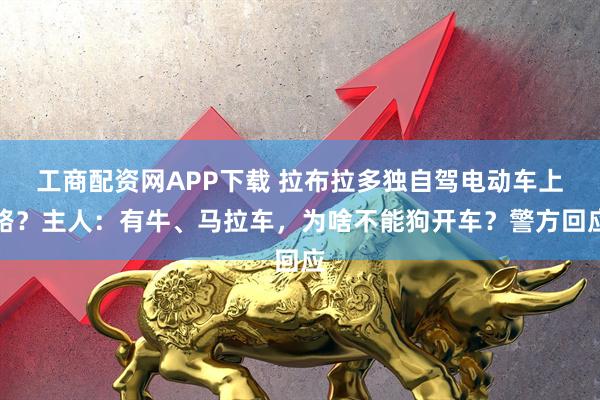 工商配资网APP下载 拉布拉多独自驾电动车上路？主人：有牛、马拉车，为啥不能狗开车？警方回应