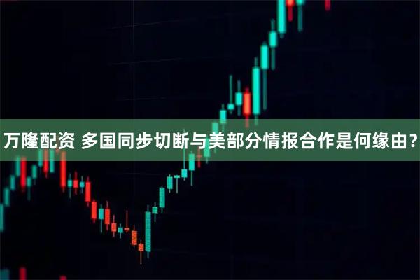 万隆配资 多国同步切断与美部分情报合作是何缘由？