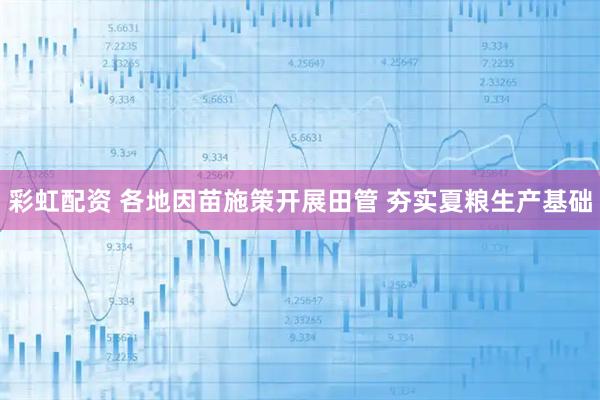 彩虹配资 各地因苗施策开展田管 夯实夏粮生产基础