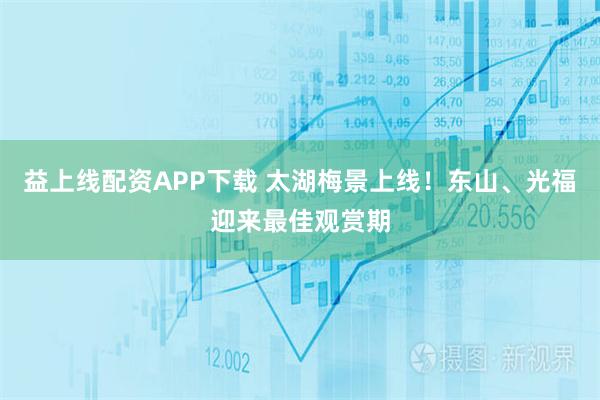 益上线配资APP下载 太湖梅景上线！东山、光福迎来最佳观赏期