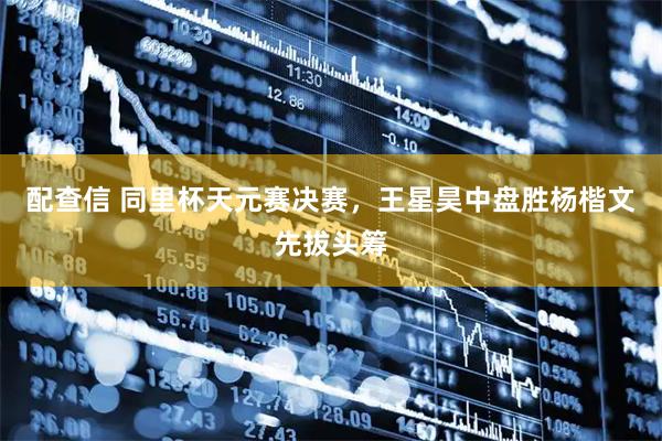 配查信 同里杯天元赛决赛，王星昊中盘胜杨楷文先拔头筹